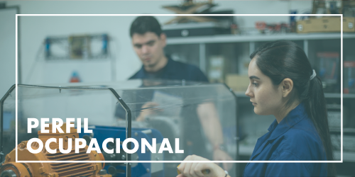 Información sobre perfil ocupacional