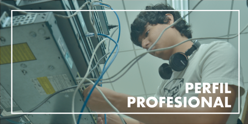 Información sobre perfil profesional
