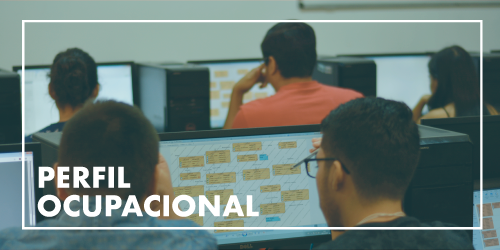 Información sobre perfil ocupacional