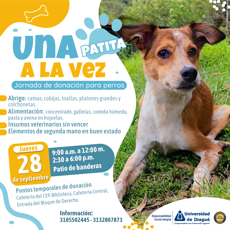 Una patita a la vez