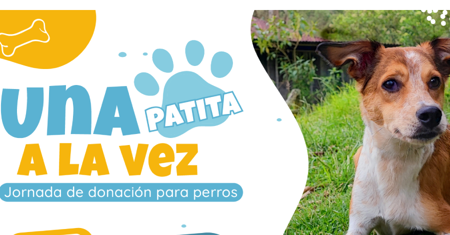 Una patita a la vez