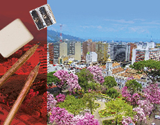 Salida virtual a dibujar por Ibagué
