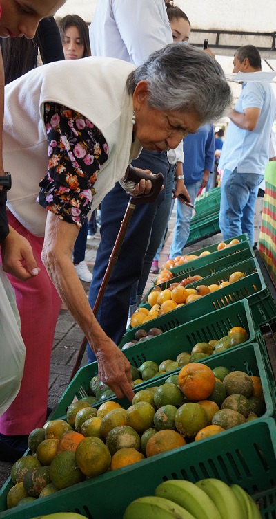 Productos agrícolas en el Tolima
