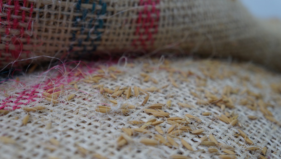 Imagen bultos de arroz en Saldaña 