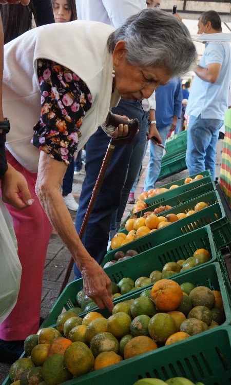 Economía del Tolima - frutas