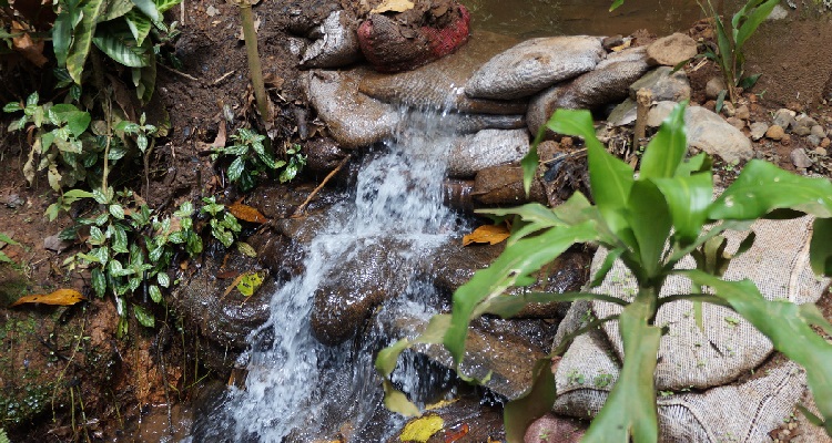Imagen de agua