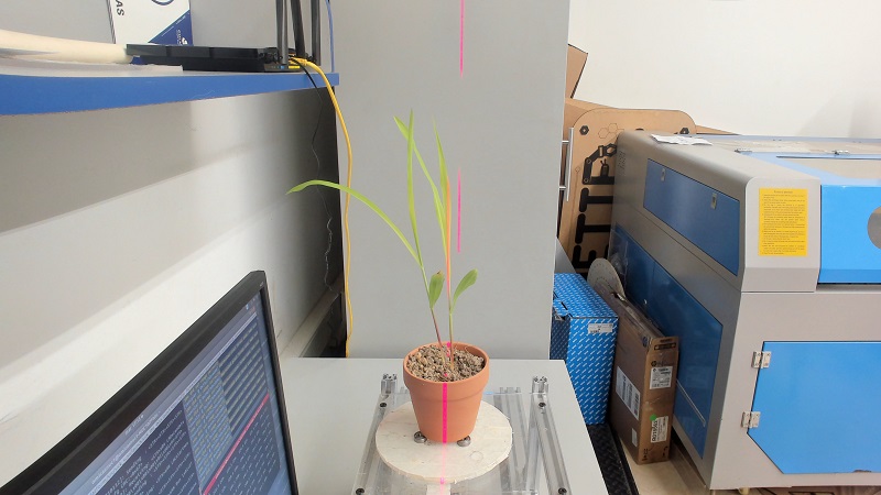 Escaneo de plantas 3D