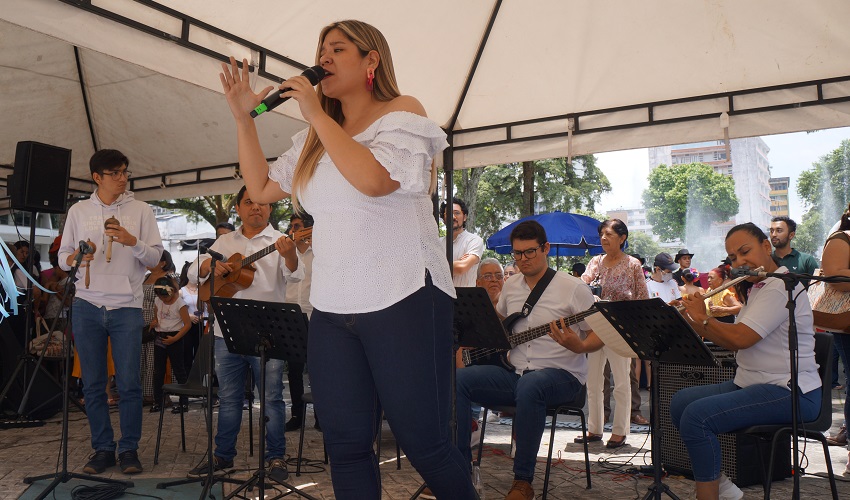 Música Unibagué - Llano