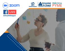 Webinar ¿Cómo mejorar los resultados de mi empresa con el apoyo de un consultor?