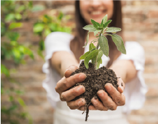 Socialización de nueva línea de crédito para jóvenes afines con el sector agropecuario