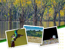 El Tolima y el manejo de los recursos naturales: Biología Ambiental como una estrategia para el desarrollo regional
