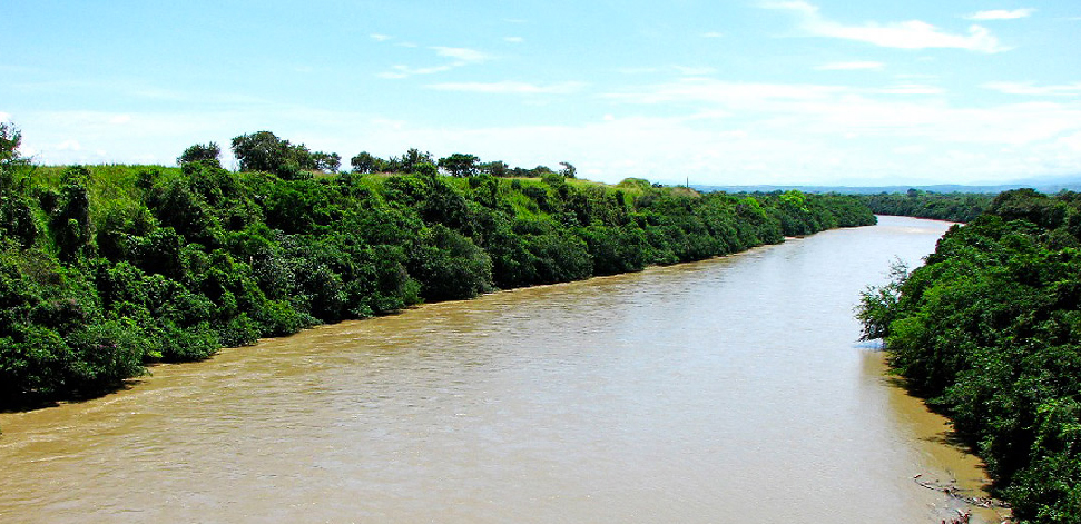 Delitos ecológicos en Colombia: esfuerzos y frustraciones