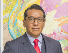 El mapa geológico de Suramérica: Un ejemplo de integración suramericana