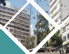 Socialización de resultados Fase 1: Ibagué Cómo Vamos