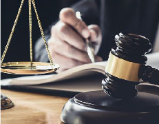 XIII jornadas de Derecho Penal económico constitución y derecho penal económico 