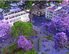 Hablemos sobre el plan de desarrollo Ibagué Vibra 2020-2023