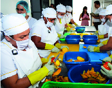 Experiencia de integración de actividades investigativas y de emprendimiento de una comunidad de la región