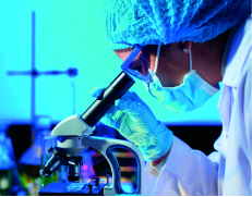 Desafíos que enfrentan los jóvenes científicos: Financiación y Formación en Investigación (enfocado a doctorado)