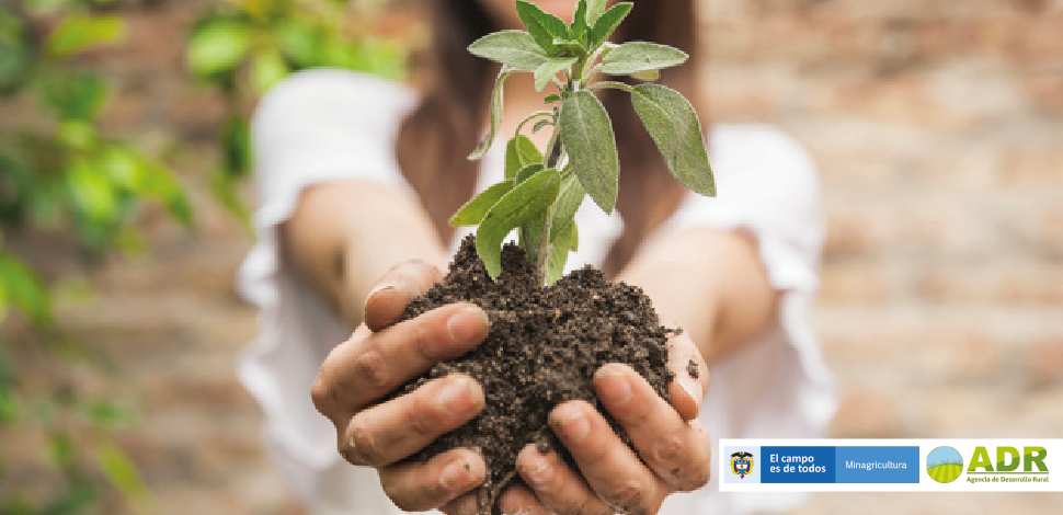 Socialización de nueva línea de crédito para jóvenes afines con el sector agropecuario