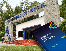 Aspectos constitucionales de la autonomía universitaria