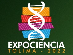 Hasta el 15 de marzo de 2022 está abierta la convocatoria para participar de la feria Expociencia, que ofrece cuatro grandes escenarios interactivos.