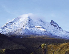 La naturaleza como sujeto especial de derechos, una mirada jurídica, social ambiental