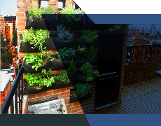 Agricultura Urbana, perspectivas desde Londres