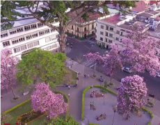 Ceremonia de grados Socialización de Resultados Encuesta de Percepción Ciudadana 2021